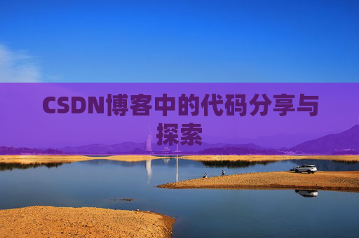 CSDN博客中的代码分享与探索